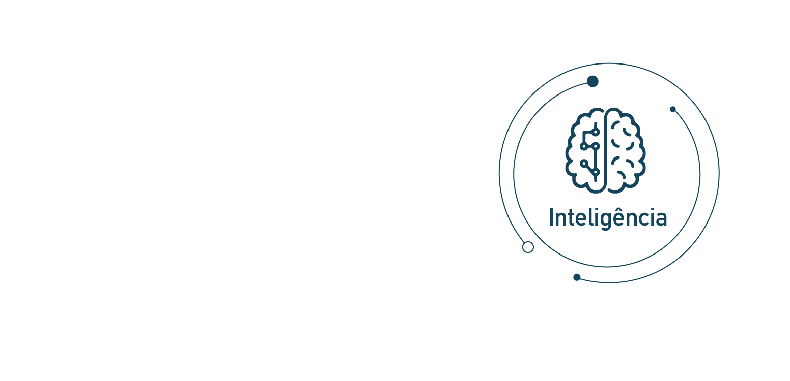 Privacidade, Inteligência